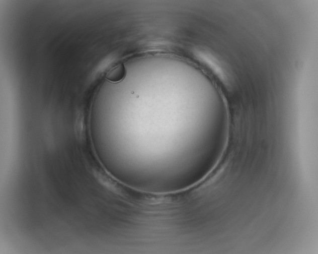 X0000114401403200910231100