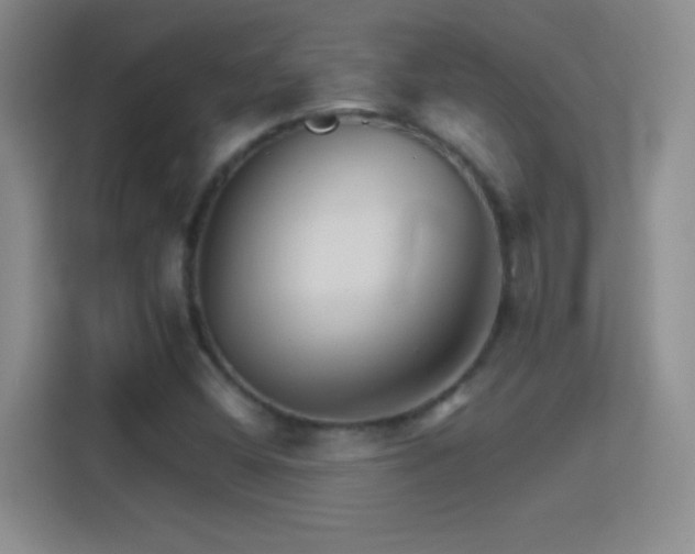 X0000114401404200910231100