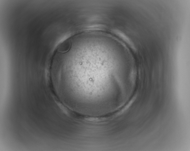 X0000114401405200910231100