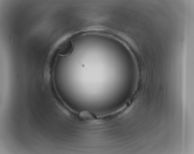 X0000114401406200910231100