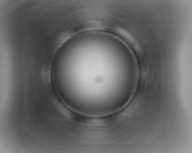 X0000114401409200910231100