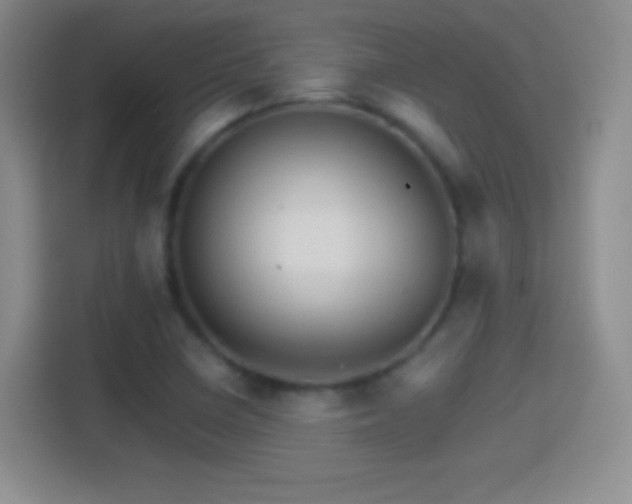 X0000114401410200910231100