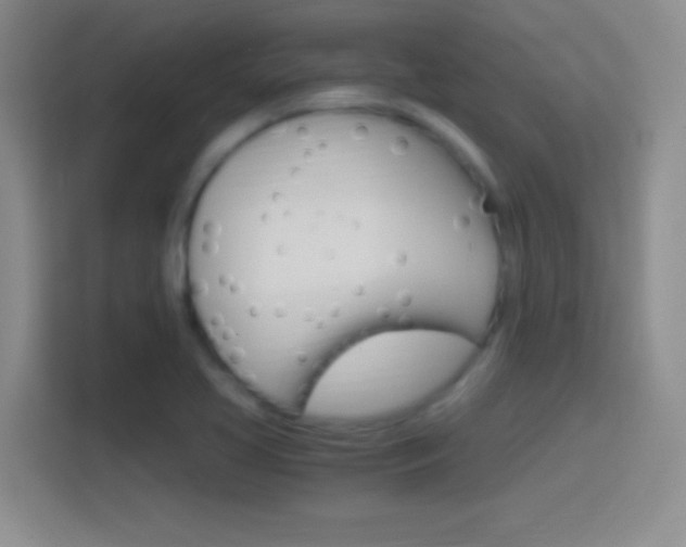 X0000114401413200910231100