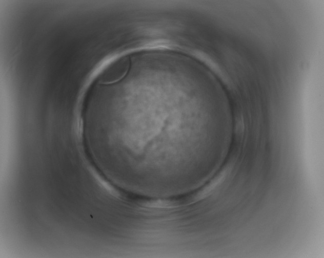 X0000114401414200910231100