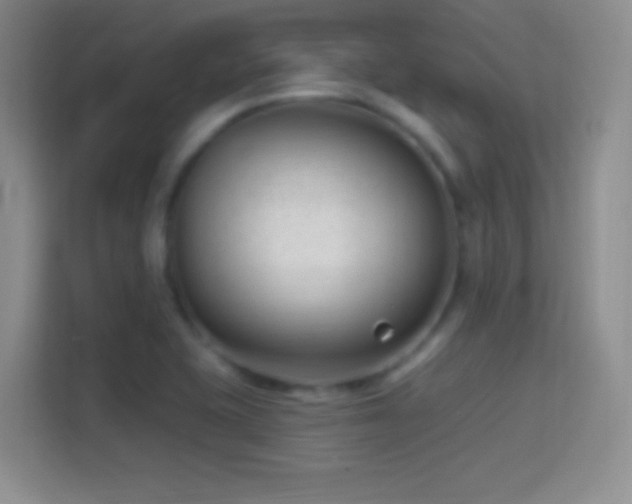 X0000114401415200910231100