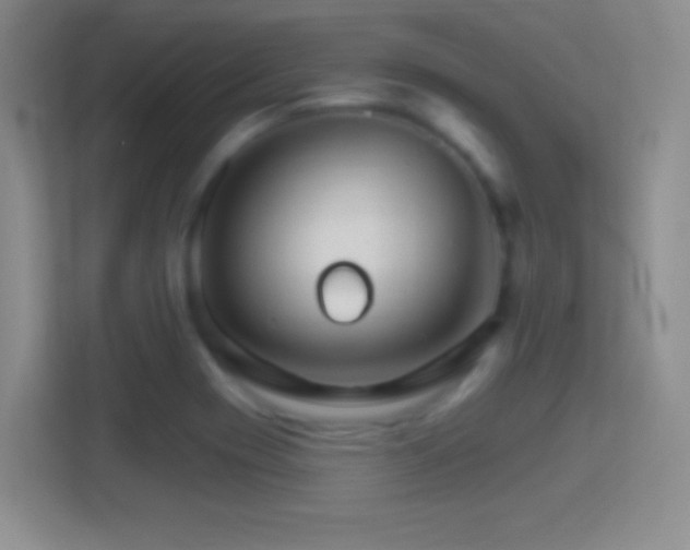 X0000114401417200910231100