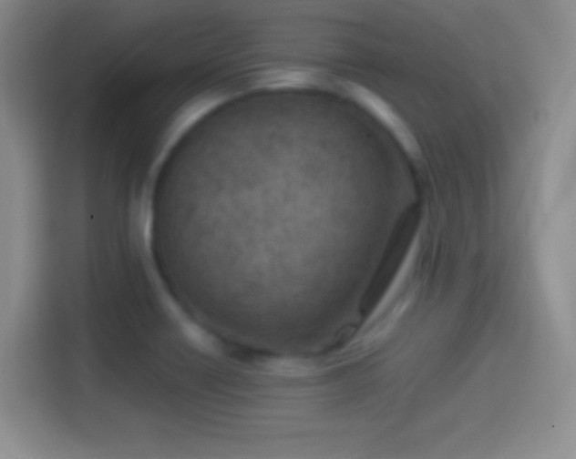 X0000114401418200910231100