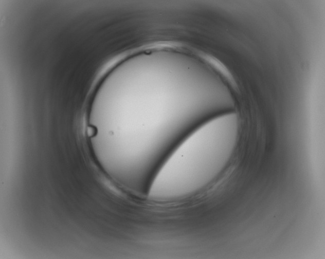 X0000114401420200910231100