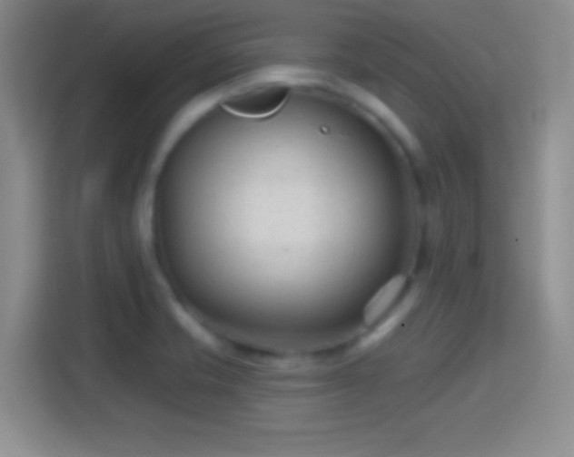 X0000114401421200910231100