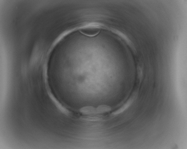 X0000114401422200910231100