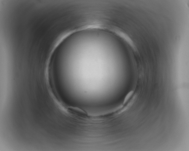 X0000114401423200910231100