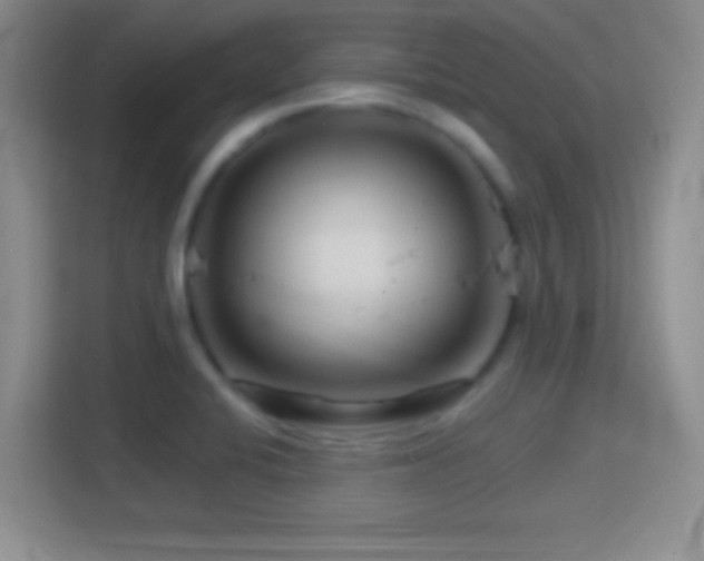 X0000114401424200910231100