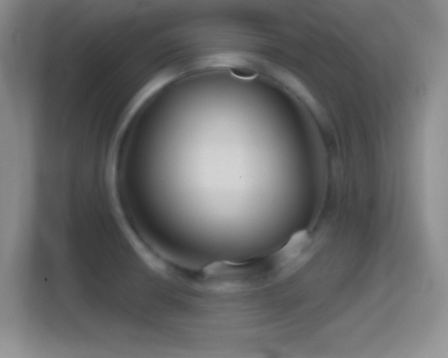 X0000114401426200910231100