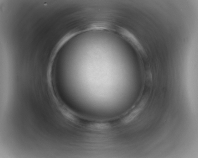 X0000114401427200910231100