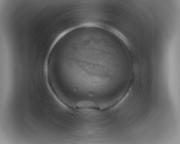 X0000114401428200910231100