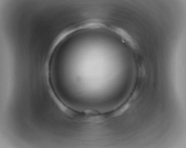 X0000114401430200910231100