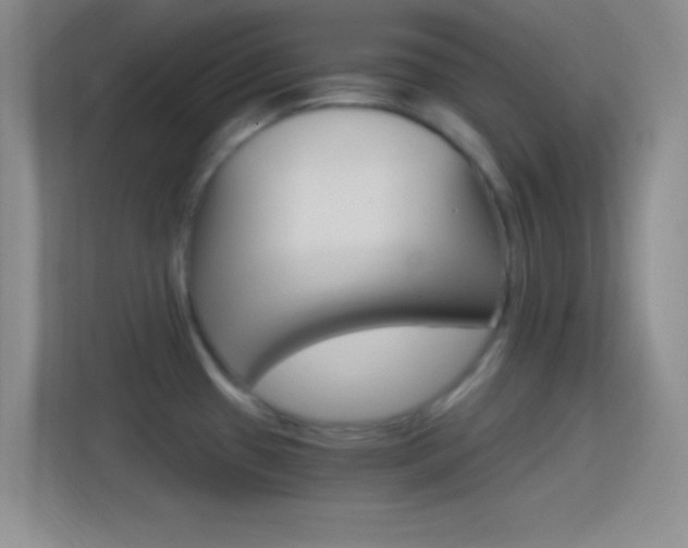 X0000114401433200910231100