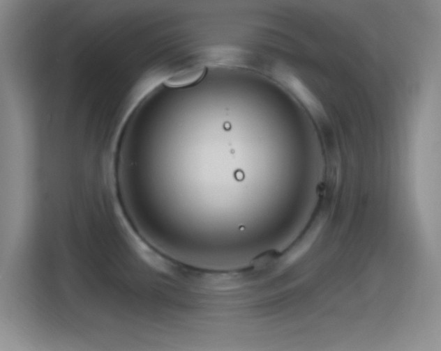 X0000114401434200910231100