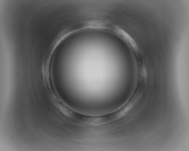 X0000114401435200910231100