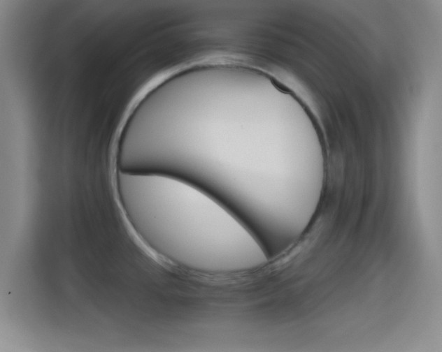 X0000114401437200910231100