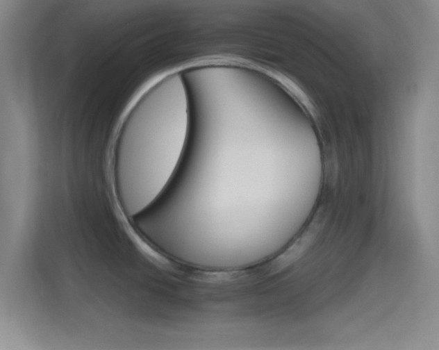 X0000114401438200910231100