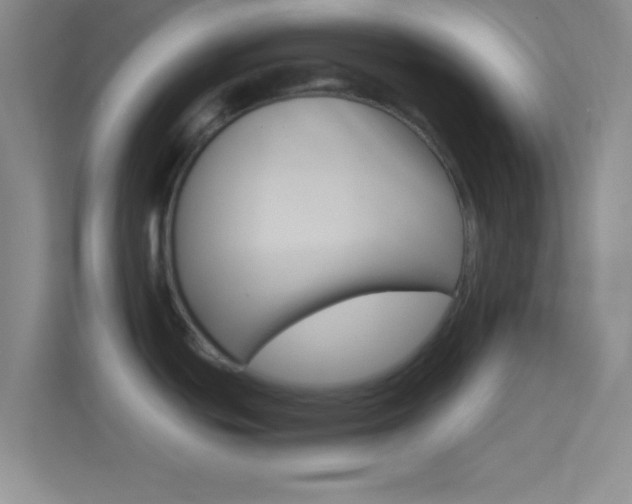 X0000114401439200910231100