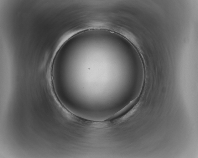 X0000114401440200910231100