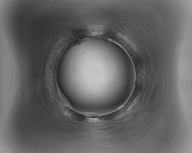 X0000114401441200910231100