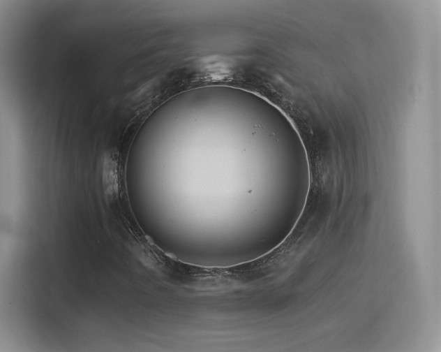 X0000114401442200910231100