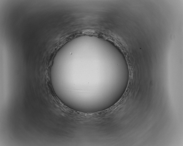 X0000114401445200910231100