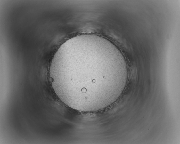 X0000114401446200910231100