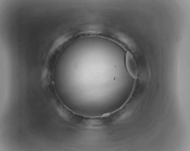 X0000114401448200910231100