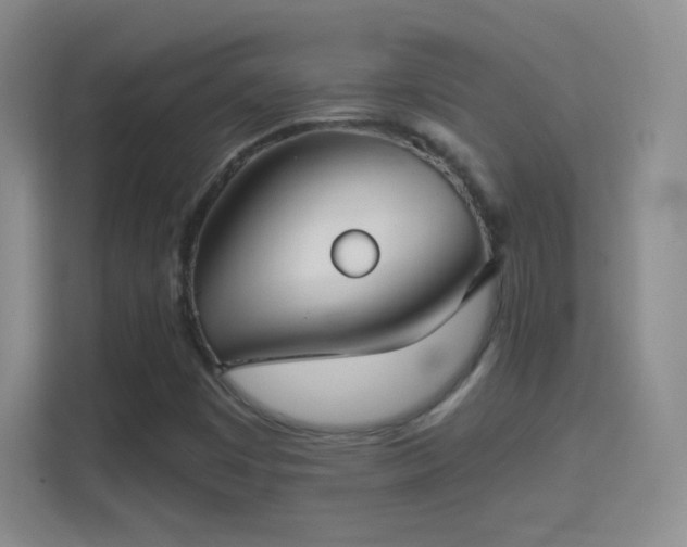 X0000114401449200910231100