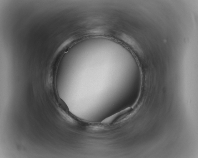 X0000114401450200910231100