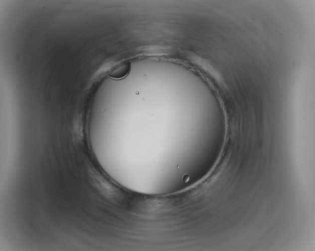 X0000114401451200910231100