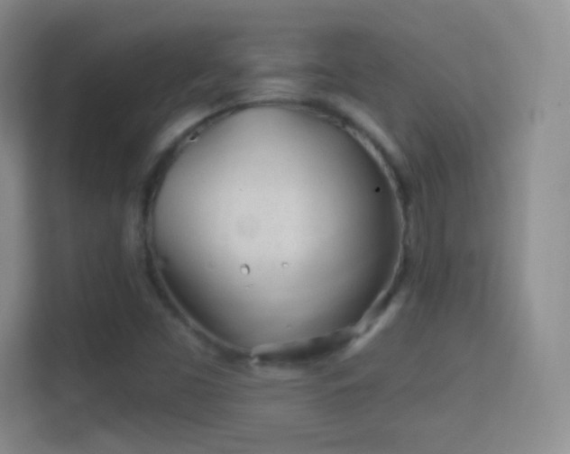 X0000114401453200910231100