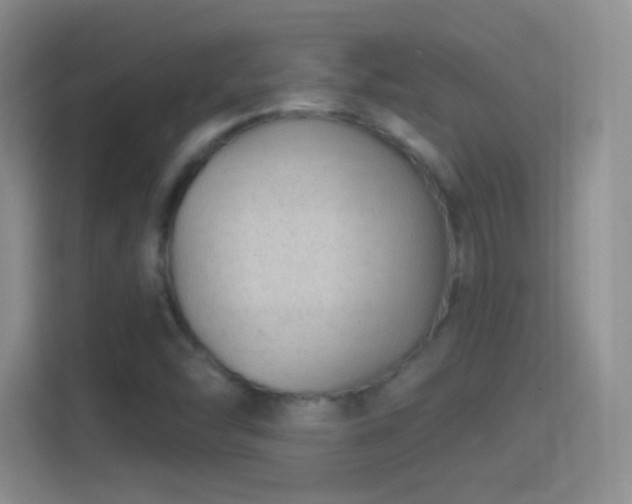 X0000114401454200910231100