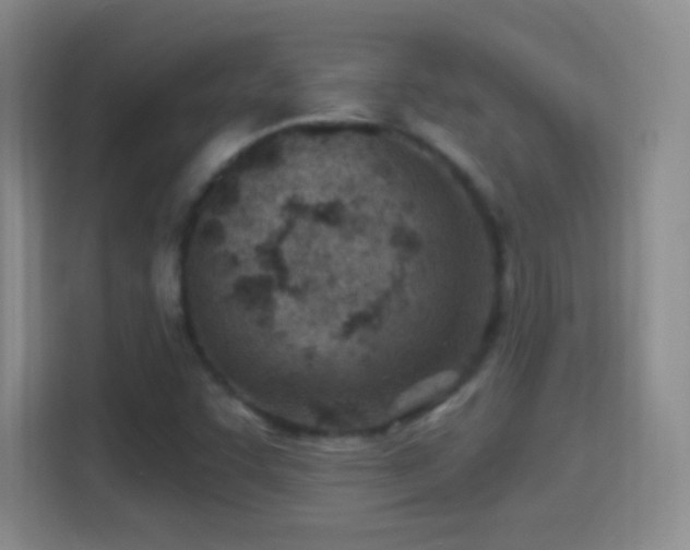 X0000114401455200910231100