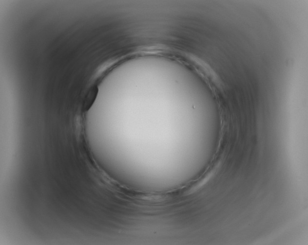 X0000114401457200910231100