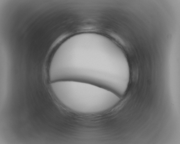 X0000114401458200910231100