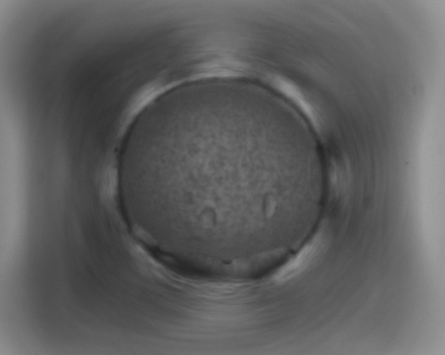 X0000114401459200910231100