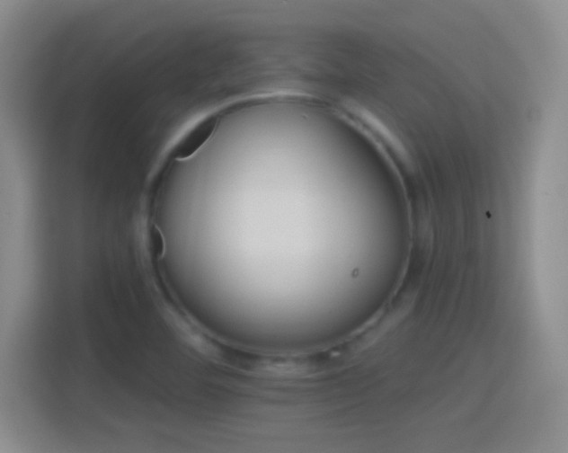 X0000114401460200910231100