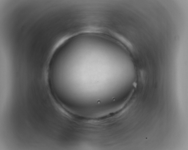 X0000114401463200910231059