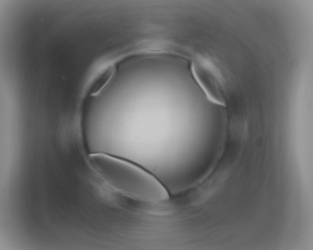 X0000114401464200910231059