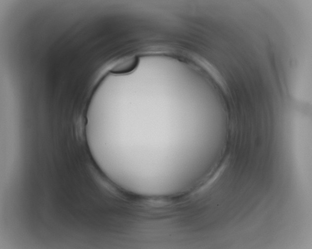 X0000114401465200910231059