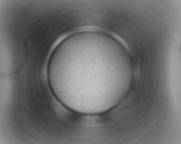 X0000114401466200910231059