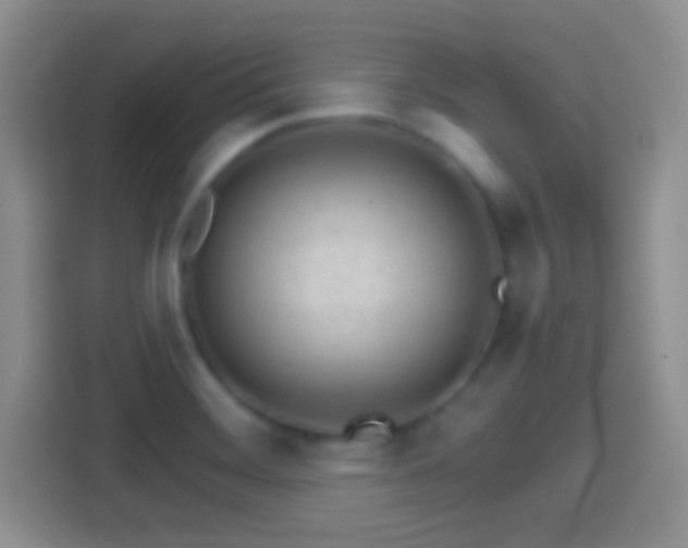 X0000114401468200910231059