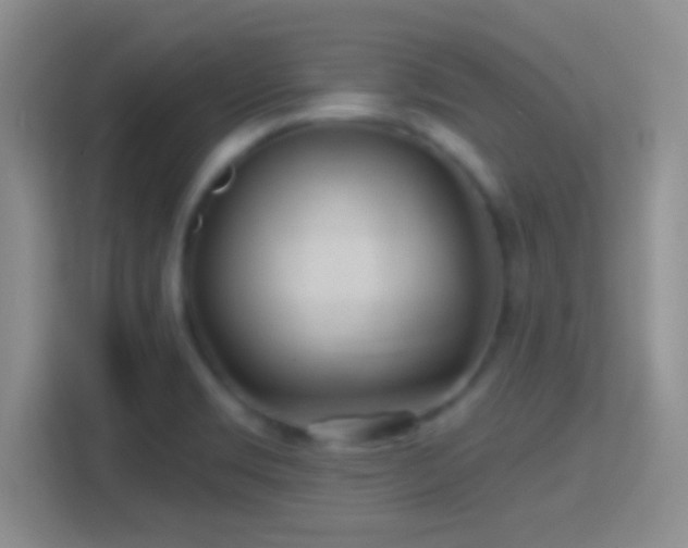 X0000114401469200910231059