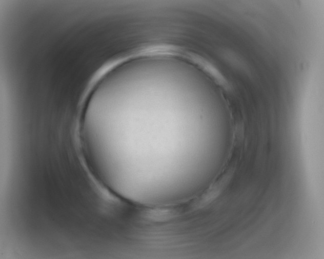 X0000114401470200910231059