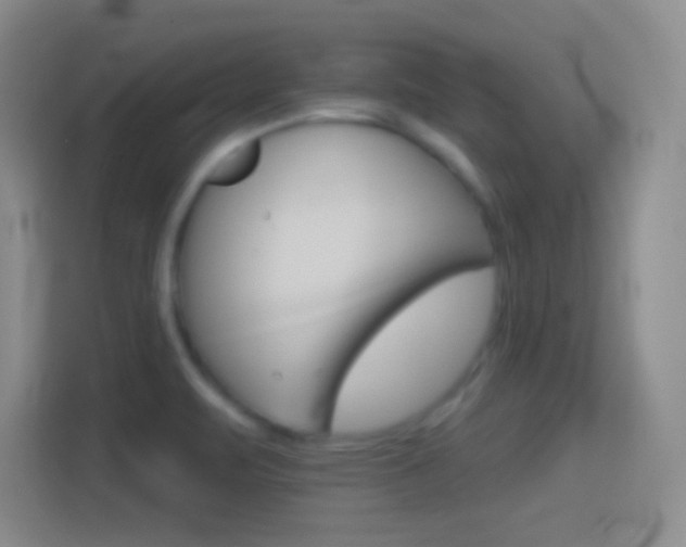 X0000114401471200910231059